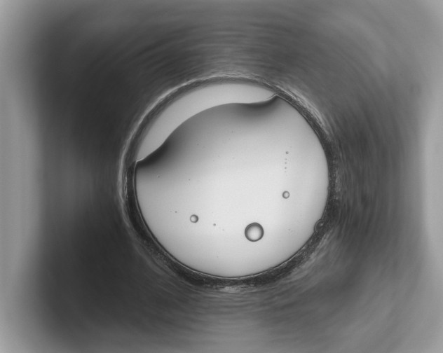 X0000101460584200807281001