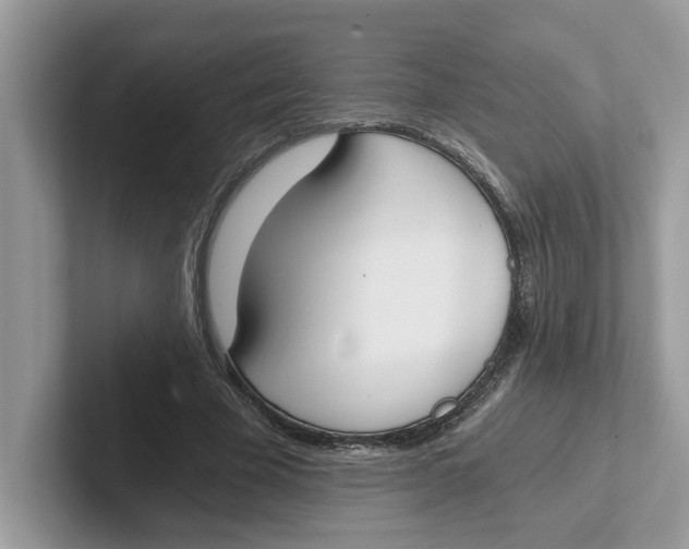 X0000101460585200807281001