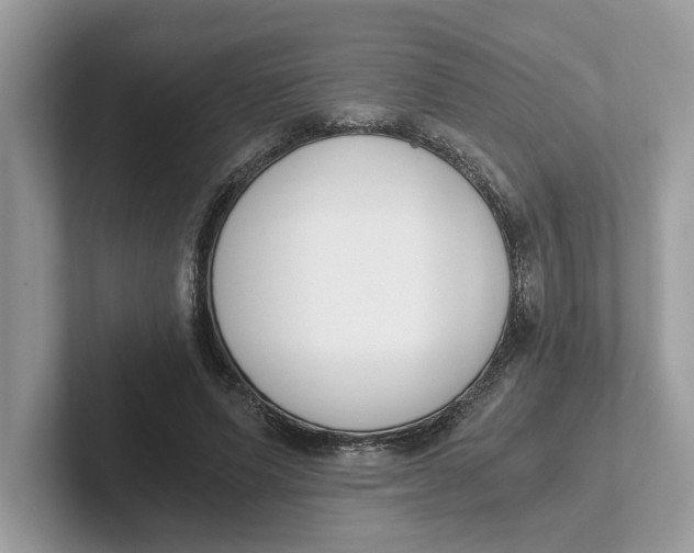 X0000101460591200807281001