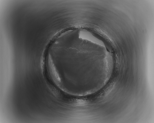 X0000101460592200807281001