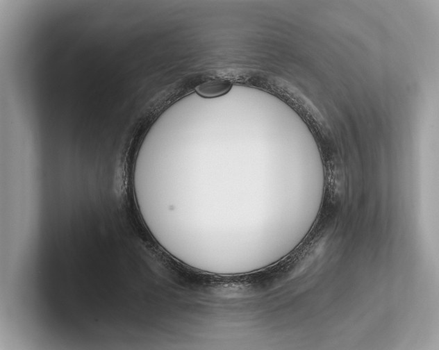 X0000101460593200807281001