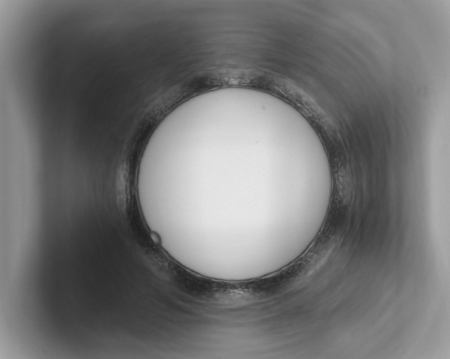 X0000101460594200807281001