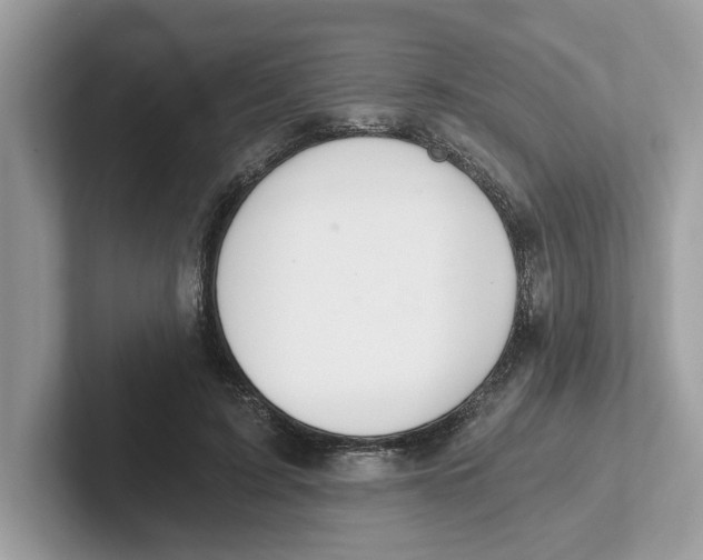 X0000101460595200807281001