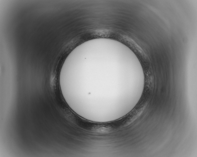 X0000101460597200807281001