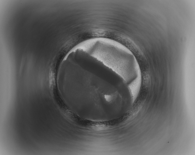 X0000101460598200807281001