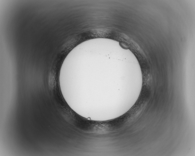 X0000101460599200807281001