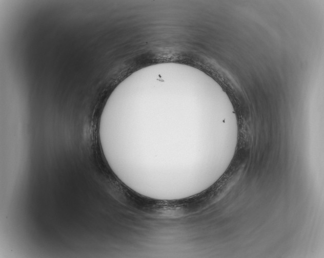 X0000101460601200807281001