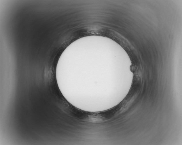 X0000101460603200807281001