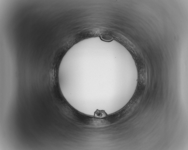 X0000101460605200807281001