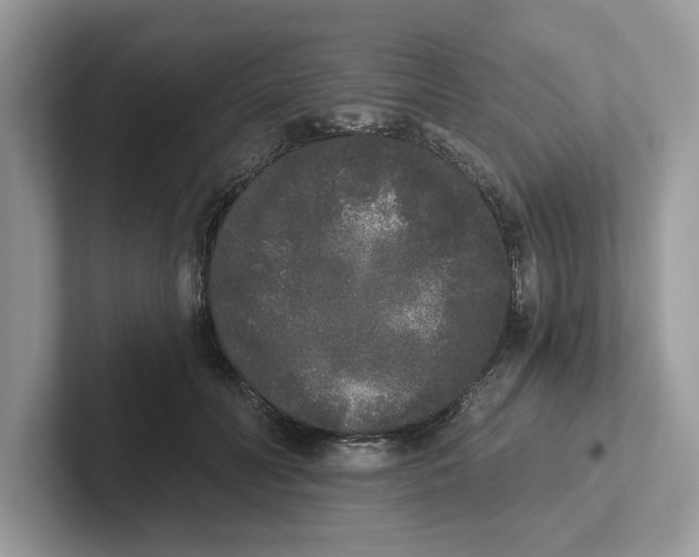 X0000101460606200807281001