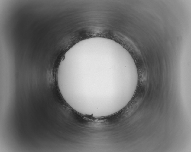 X0000101460607200807281001