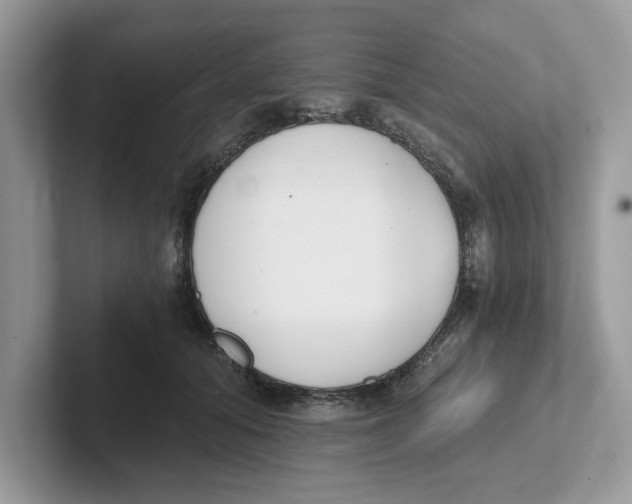 X0000101460608200807281001