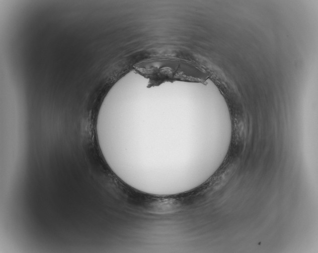 X0000101460609200807281001