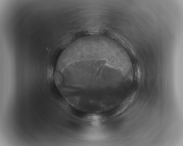 X0000101460610200807281001