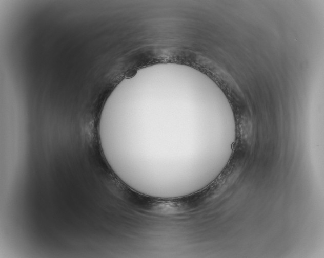 X0000101460611200807281001