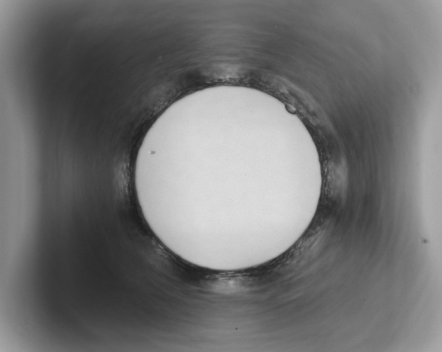 X0000101460612200807281001