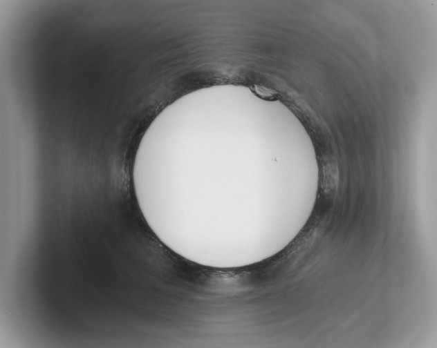 X0000101460613200807281001