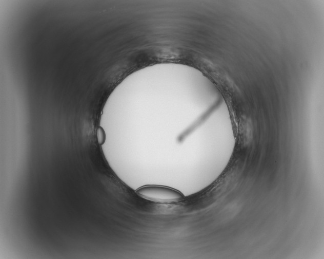 X0000101460614200807281001