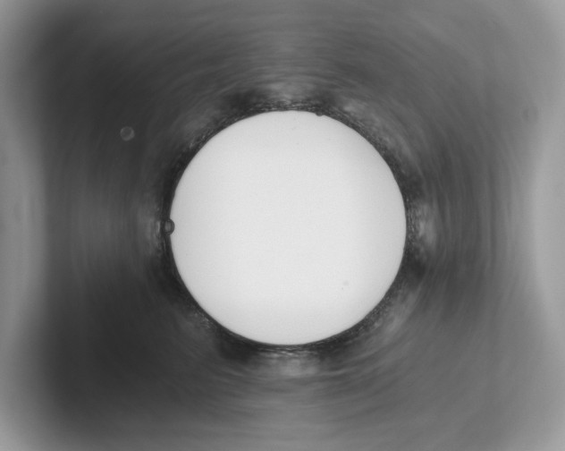 X0000101460615200807281000