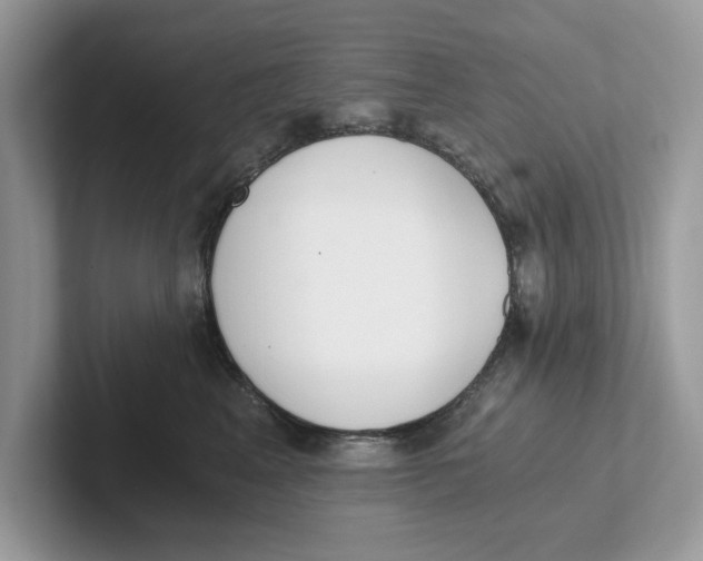 X0000101460617200807281000