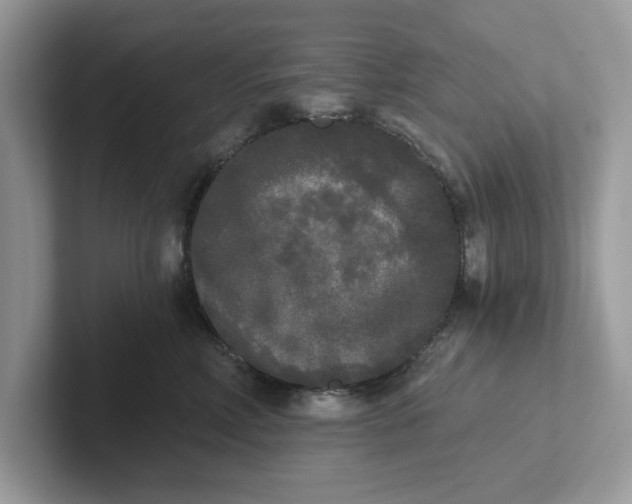 X0000101460618200807281000