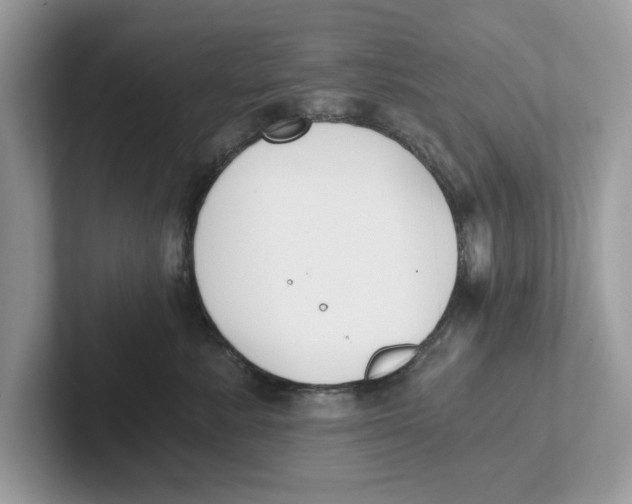 X0000101460619200807281000