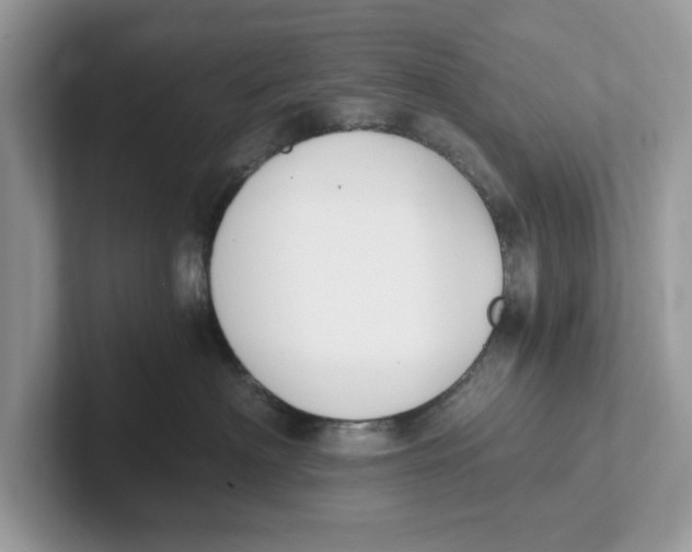 X0000101460622200807281000