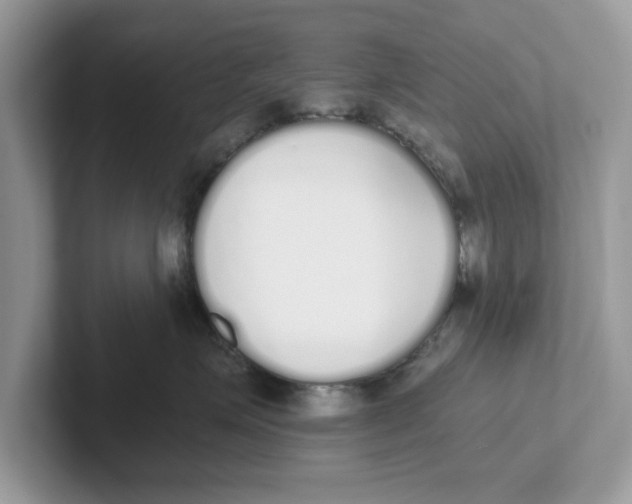 X0000101460623200807281000