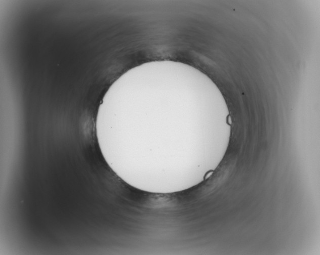 X0000101460624200807281000