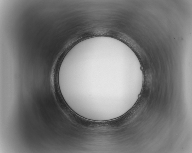 X0000101460626200807281000