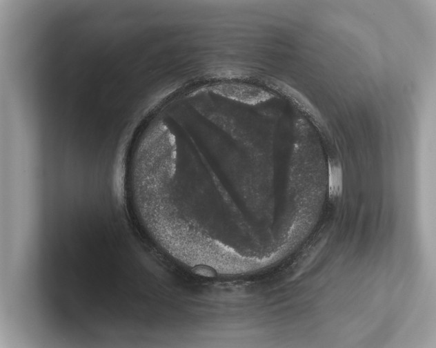 X0000101460627200807281000