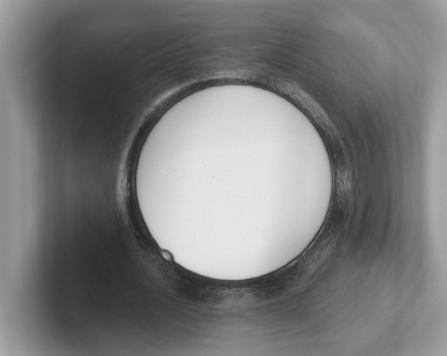 X0000101460628200807281000