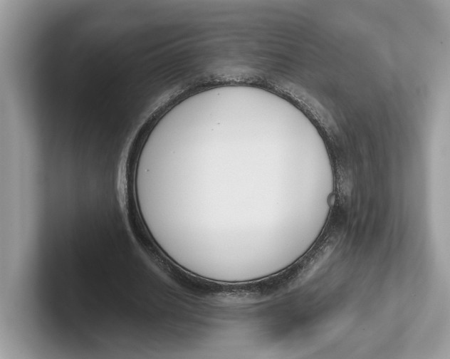 X0000101460630200807281000