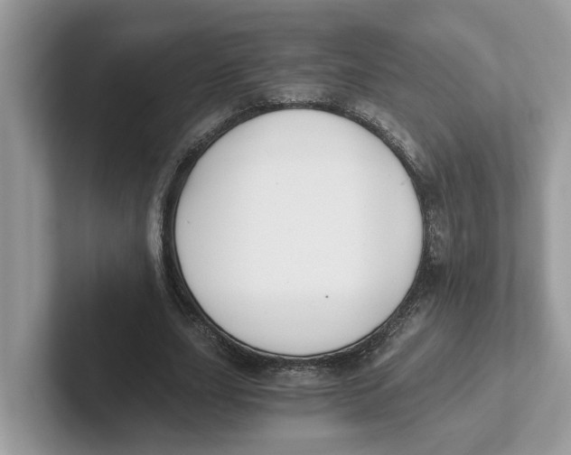 X0000101460631200807281000