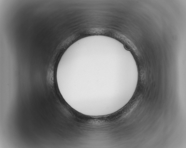 X0000101460633200807281000