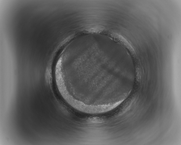 X0000101460634200807281000