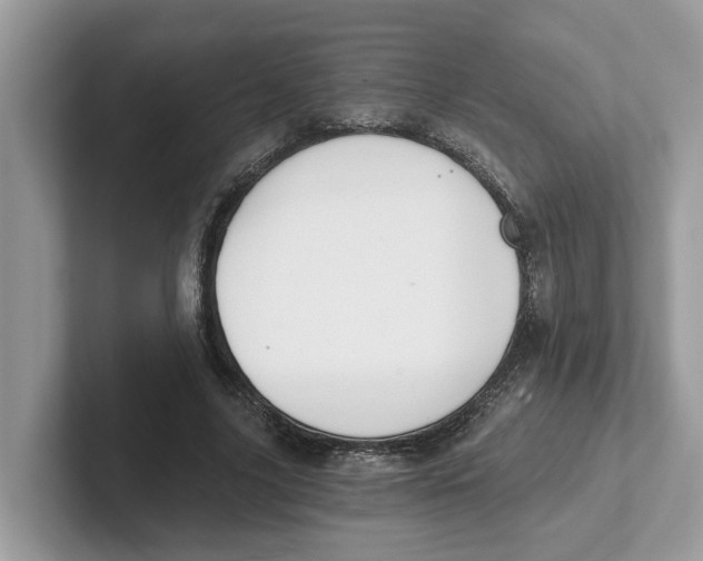 X0000101460635200807281000