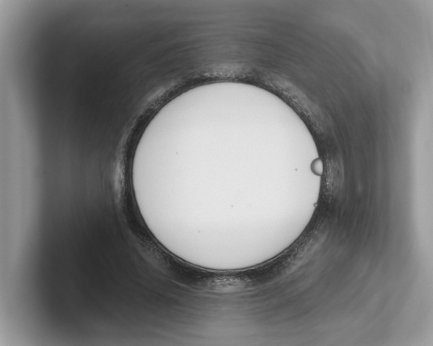 X0000101460636200807281000