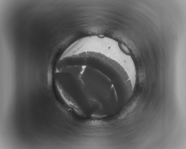 X0000101460637200807281000