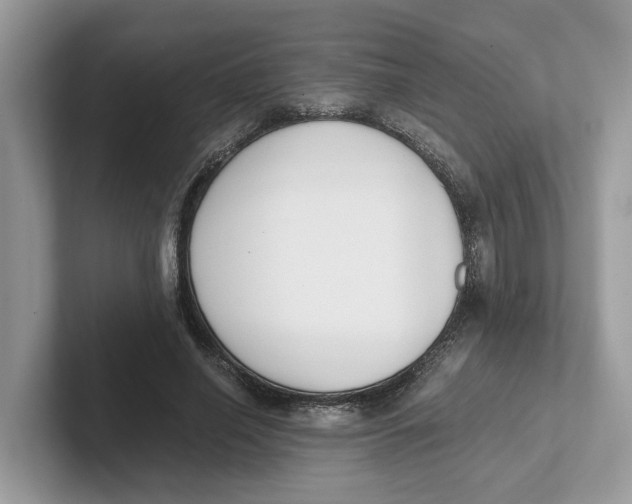 X0000101460638200807281000