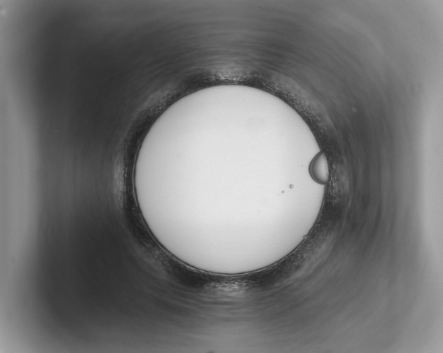 X0000101460639200807281000