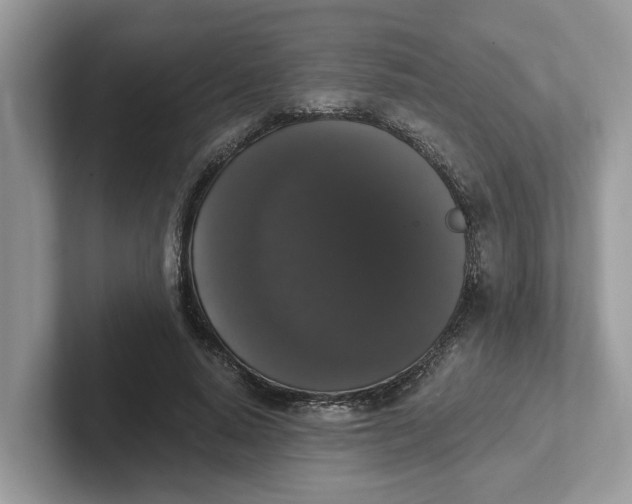 X0000101460640200807281000