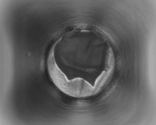 X0000101460641200807281000