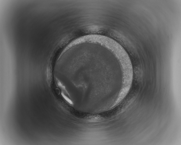 X0000101460642200807281000