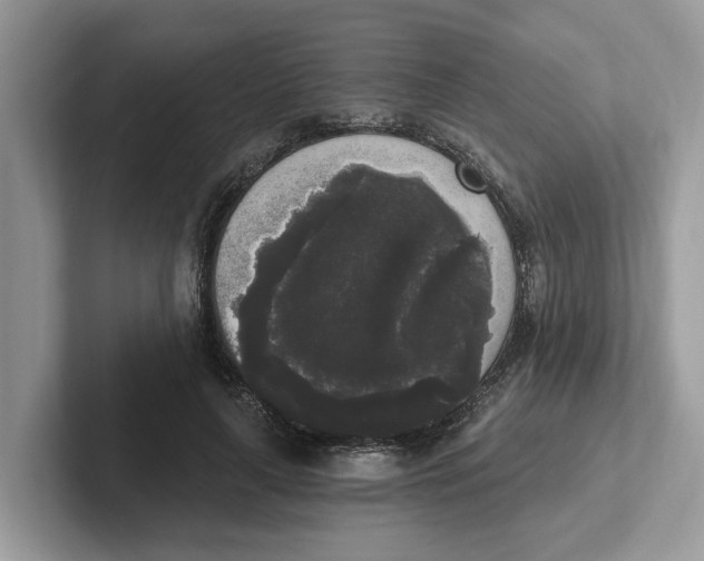 X0000101460643200807281000