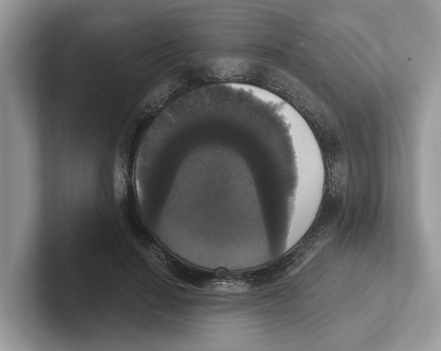 X0000101460644200807281000