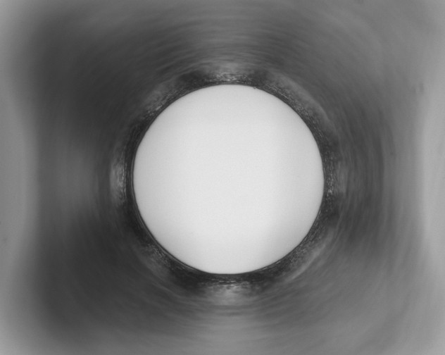 X0000101460646200807281000