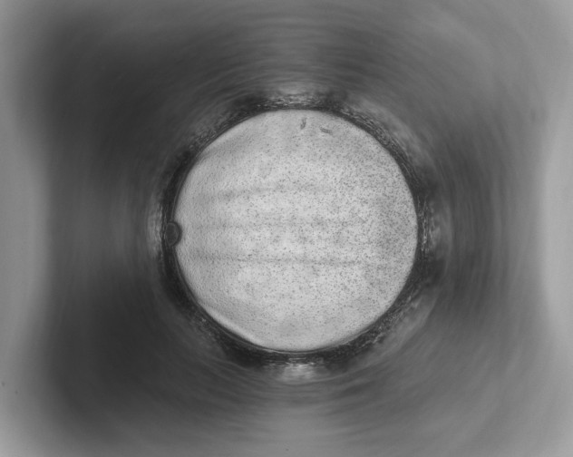 X0000101460647200807281000