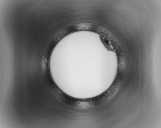 X0000101460649200807281000