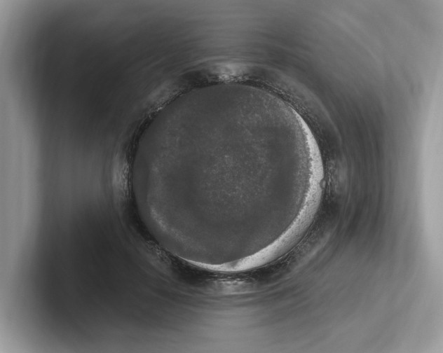 X0000101460650200807281000